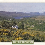 Irland's Beauty glum 1990 F3300