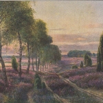 Die Heide blüht! ngl F3402