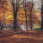 Wald in herbstlicher Sonne ngl F3403
