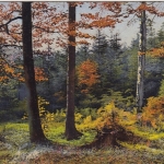 Herbstlicher Mischwald gl1910 F3404