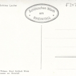 Rheinfall mit Schloß Laufen ngl F3479