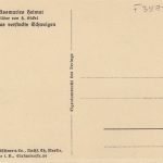 H.BICKEL Aus Rosmaries Heimat, Das versteckte Schweigen Nr.13 ngl F3578