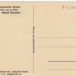 H.BICKEL Aus Rosmaries Heimat, Schloß Thorstein ngl F3584