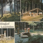 Bad Leonfelden, Waldlehrpfad gl1983? F3727