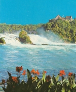 Rheinfall mit Schloß Laufen ngl F3773