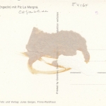 Silvaplana (Engadin) mit Piz La Magna ngl F4164