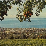 Rorschach am Bodensee, St.Gallen ngl F4169