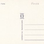 Tunesien, Ile de Jerba ngl F4488