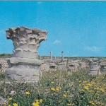 Tunesien, Carthage, Ruines Romaines ngl F4489