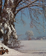 Weihnachts-Neujahr-Wünsche vom Waldesrand gl1973 F4505