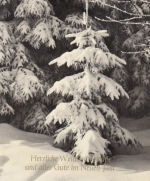 Weihnachts-Neujahr-Wünsche mit Weihnachtsbaum-Nachwuchs gl1977 F4510
