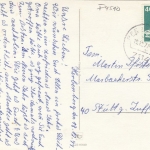 Weihnachts-Neujahr-Wünsche mit Weihnachtsbaum-Nachwuchs gl1977 F4510