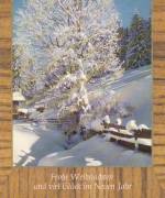 Weihnachts-Neujahr-Wünsche mit viel Rauhreif gl1977 F4515