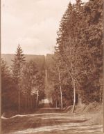 Erlabrunn (Erzgeb.) Auto-Rennstrecke ngl 197.872