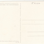 CH.PASCHE Orchideen - fußgemalt ngl F4560