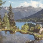 Champex, Wallis,"Flore-Alpe" ngl F4577