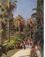 Sochi, Botanic Gardens ngl F4670
