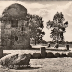 Müden (Oertze), Lüneburger Heide, Hermann-Löns-Stein Wietzer Berg ngl F4980