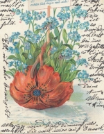 Vergißmeinnicht gl1907 F5386