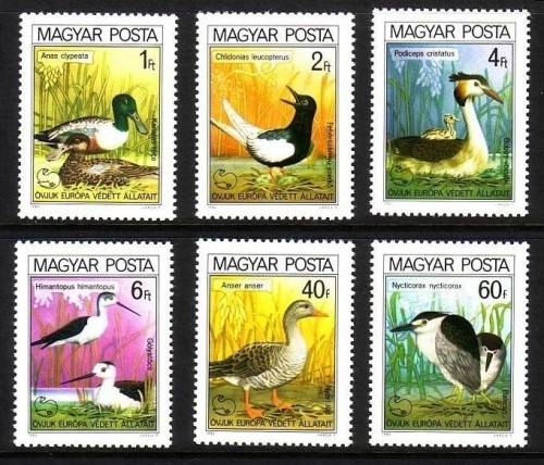 UNGARN MI-NR. 3451-3456 A POSTFRISCH(MINT) EUROPÄISCHER NATURSCHUTZ 1980 - VÖGEL