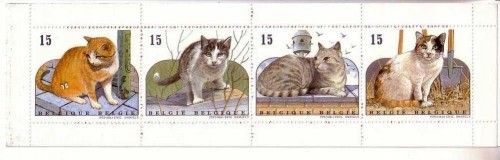 BELGIEN MH 35 POSTFRISCH(MINT) HAUSKATZEN