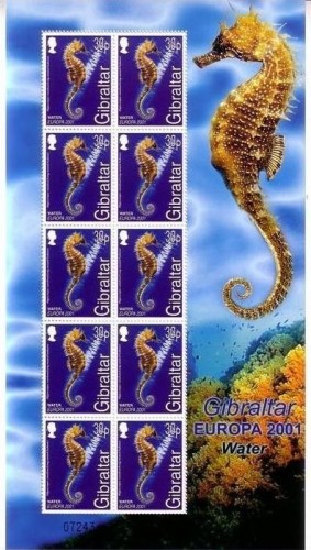GIBRALTAR MI-NR. 962-965 KLEINBOGENSATZ POSTFRISCH(MINT) EUROPA 2001 WASSER SEEPFERDCHEN MÖWE