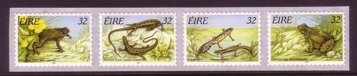 IRLAND MI-NR. 913-916 POSTFRISCH(MINT) REPTILIEN UND AMPHIBIEN 1995 FROSCH ECHSE MOLCH