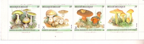 BELGIEN MH 32 POSTFRISCH(MINT) PILZE KNOLLENBLÄTTERPILZ SCHUSTERPILZ