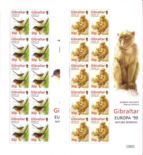 GIBRALTAR MI-NR. 852-855 POSTFRISCH(MINT) KLEINBOGENSATZ EUROPA 1999 AFFE FISCH EISVOGEL GRASMÜCKE