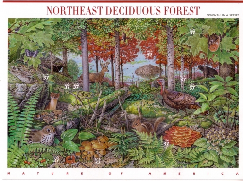USA MI-NR. 3907-3916 POSTFRISCH(MINT) FOLIENBOGEN LANDSCHAFTEN (VII) LAUBWALD BÄR PILZ HIRSCH WIESEL