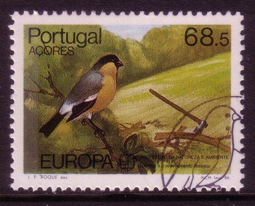 AZOREN MI-NR. 376 GESTEMPELT(USED) EUROPA 1986 NATUR- und UMWELTSCHUTZ VOGEL AZORENGIMPEL