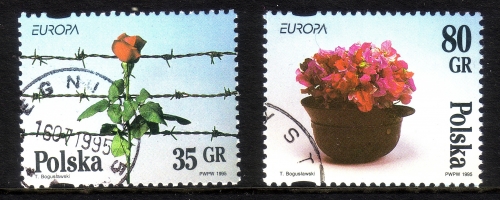 POLEN MI-NR. 3533-3534 GESTEMPELT EUROPA 1995 - FRIEDEN und FREIHEIT ROSE