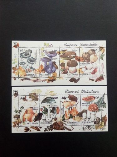 RUMÄNIEN BLOCK 292 POSTFRISCH(MINT) ESSBARE UND GIFTIGE PILZE 1994