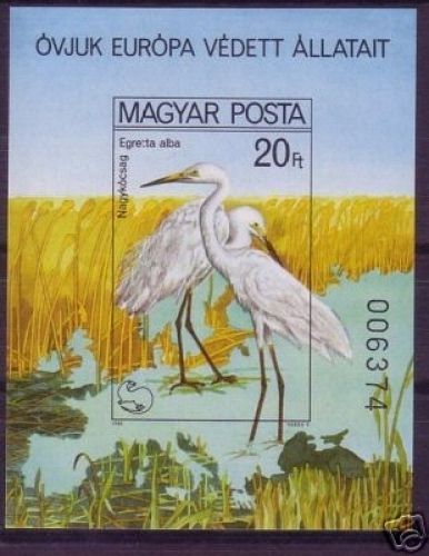 UNGARN BLOCK 146 B POSTFRISCH(MINT) GESCHNITTEN NATURSCHUTZJAHR 1980 SILBERREIHER