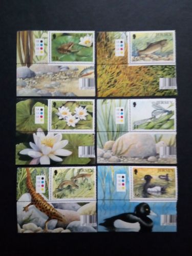 JERSEY MI-NR. 980-985 POSTFRISCH(MINT) EUROPA 2001 WASSER FORELLE SEEROSE FROSCH ENTE