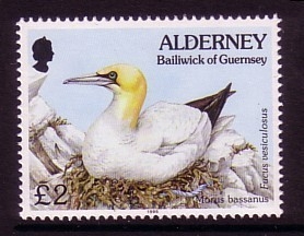 ALDERNEY MI-NR. 82 POSTFRISCH FAUNA + FLORA - BASSTÖLPEL 1995