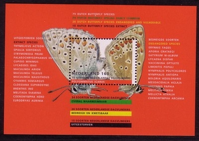 NIEDERLANDE BLOCK 38 POSTFRISCH(MINT) SCHMETTERLINGE 1993 HAUHECHEL BLÄULING