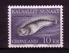 GRÖNLAND MI-NR. 154 POSTFRISCH(MINT) MEERESTIERE GEFLECKTER SEEWOLF