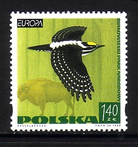 POLEN MI-NR. 3763 POSTFRISCH(MINT) EUROPA 1999 - NATUR- und NATIONALPARKS SPECHT