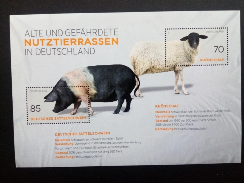 DEUTSCHLAND BLOCK 81 POSTFRISCH(MINT) NUTZTIERRASSEN 2016 RHÖNSCHAF SATTELSCHWEIN