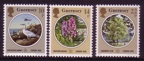 GUERNSEY MI-NR. 358-360 POSTFRISCH(MINT) EUROPA 1986 NATUR- und UMWELTSCHUTZ ORCHIDEE VOGEL
