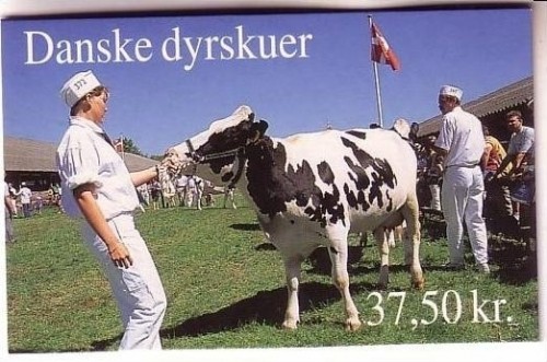 DÄNEMARK MH mit 10 x MI-NR. 1188 POSTFRISCH(MINT) EUROPA 1998 NATIONALE FESTE und FEIERTAGE PFERDE