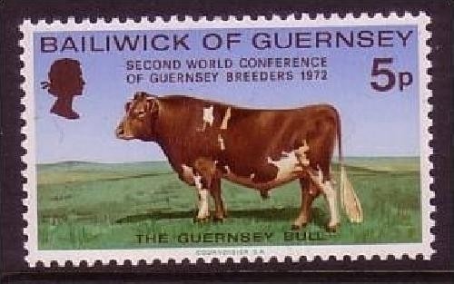 GUERNSEY MI-NR. 66 POSTFRISCH(MINT) WELTKONGRESS DER VIEHZÜCHTER - KUH