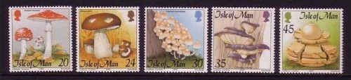 INSEL MAN MI-NR. 650-654 POSTFRISCH(MINT) PILZE 1995 STEINPILZ, FLIEGENPILZ, AUSTERNPILZ....