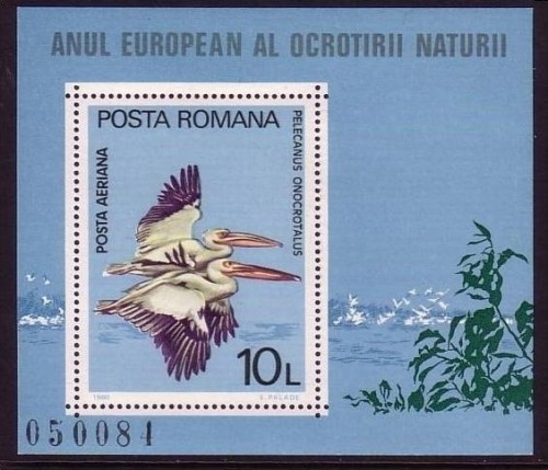 RUMÄNIEN BLOCK 167 POSTFRISCH(MINT) MITLÄUFER 1980 EUROPÄISCHES NATURSCHUTZJAHR PELIKAN