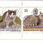 BELGIEN MH 35 POSTFRISCH(MINT) HAUSKATZEN