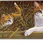 BELGIEN MH 35 POSTFRISCH(MINT) HAUSKATZEN