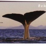 NORWEGEN MH mit MI-NR. 1346-1348 POSTFRISCH(MINT) WILDLEBENDE TIERE 2000 STEINADFLER ELCH POTTWAL