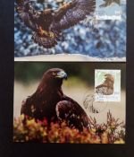 LIECHTENSTEIN MI-NR. 1933-1934 MAXIMUMKARTEN MK 459 EUROPA 2019 VÖGEL STEINADLER