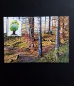 LIECHTENSTEIN MI-NR. 1591 MAXIMUMKARTE 330 EUROPA 2011 DER WALD